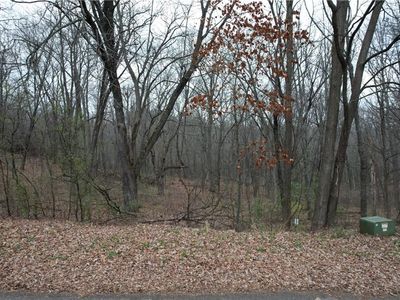 Lot 5 Rye Bluff Road, Black River Falls, WI, 54615