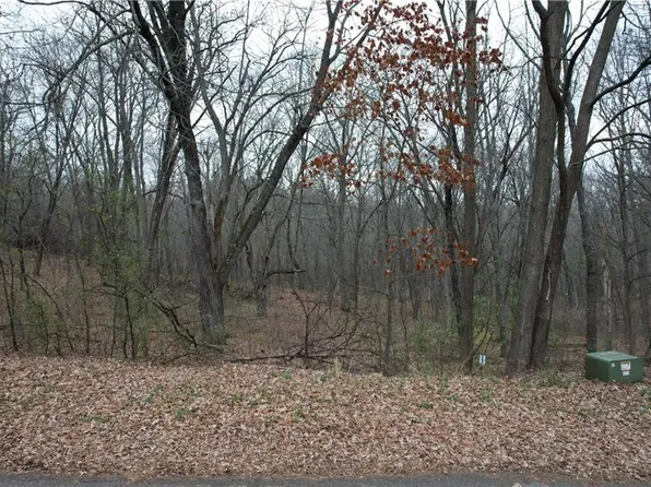 Lot 5 Rye Bluff Road, Black River Falls, WI 54615