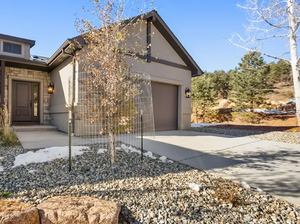 521 Brecken Ct #521, Woodland Park, CO 80863