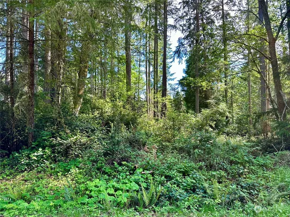 11404 Admiralty Way, Anderson Island, WA 98303