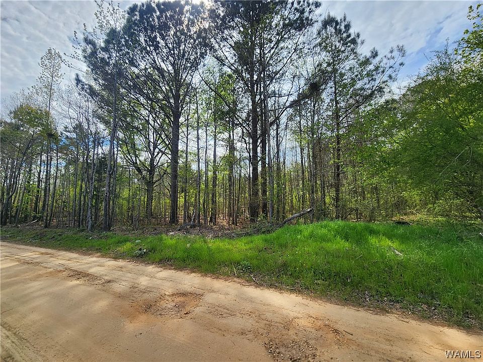 Jasmine Ln, Forkland, AL 36740 MLS 156174 Zillow