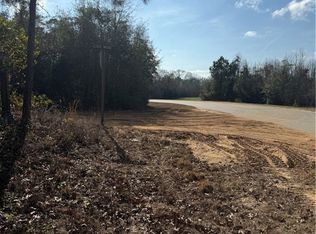 0 George Moore Road, Statesboro, GA 30461