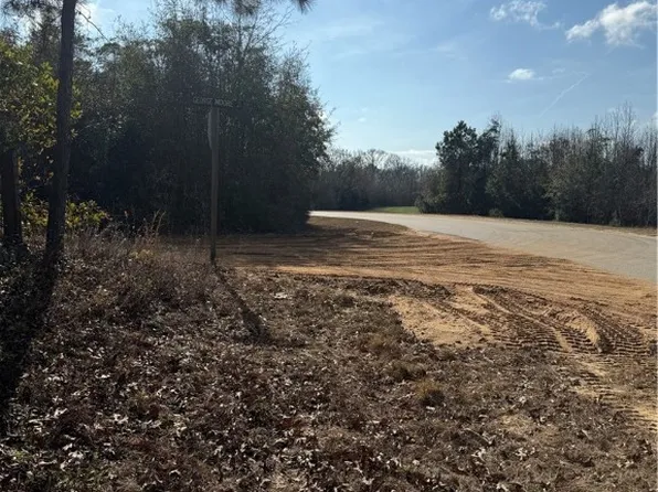 0 George Moore Road, Statesboro, GA 30461