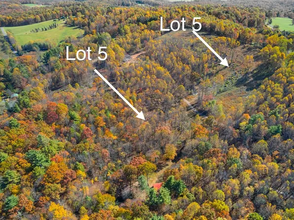 Red Roof Ln, Laurel Fork, VA 24352