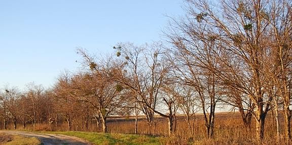2nd image of 520 County Road 4001