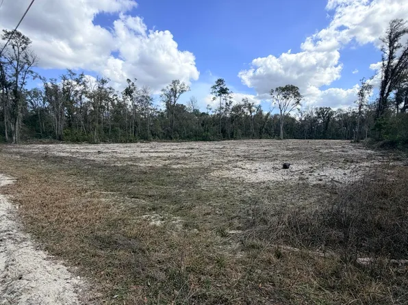 163 NE 159th Ave, Old Town, FL 32680