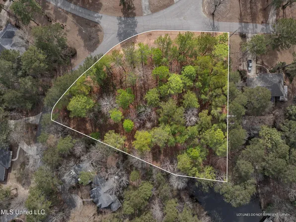 101 Heartwood Dr, Petal, MS 39465