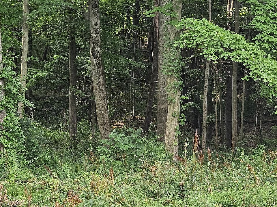 2nd image of S Sherman Lake Dr
