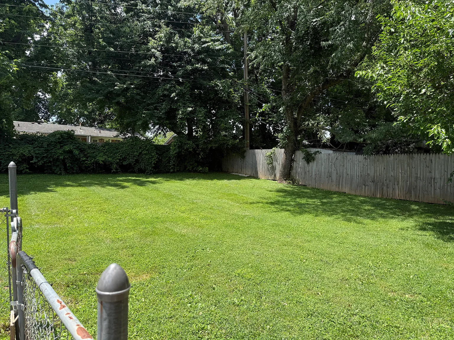 3 bed, 1100 sqft, $1,625 — Photo 2