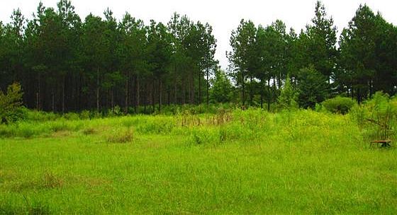 1st image of 22071 Hwy 301 N