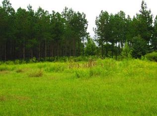 22071 Hwy 301 N, Statesboro, GA 30461