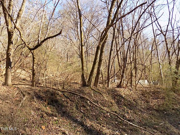 3rd image of Holston St