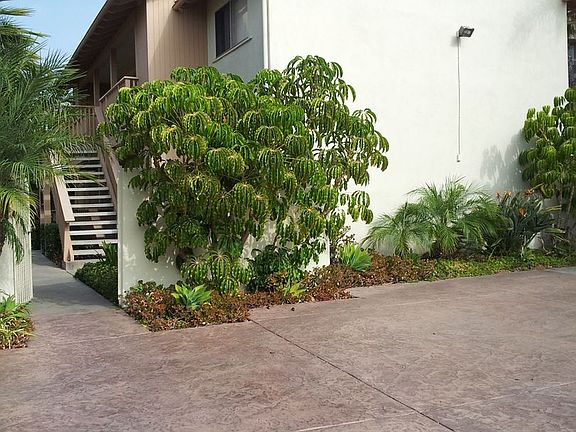 3rd image of 1403 F Ave #23
