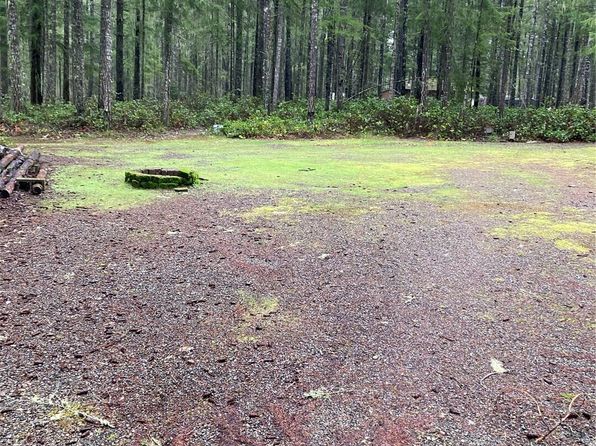 131 N Buckhorn Way, Hoodsport, WA 98548