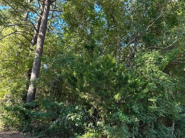 Highway 4, Jonesboro, LA 71251