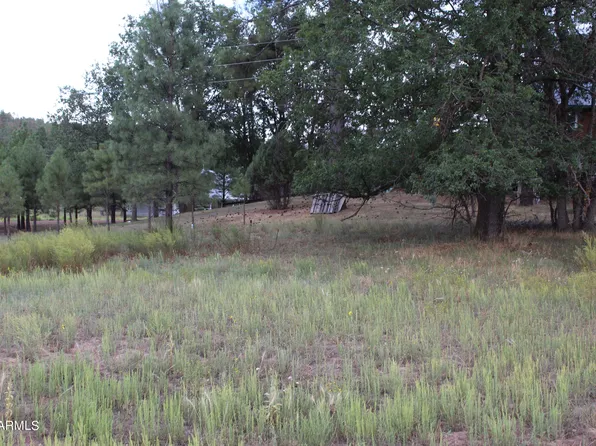 5523 Turkey Run -- #188, Pinedale, AZ 85934