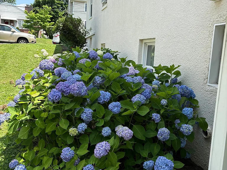 15 King St — Photo 22