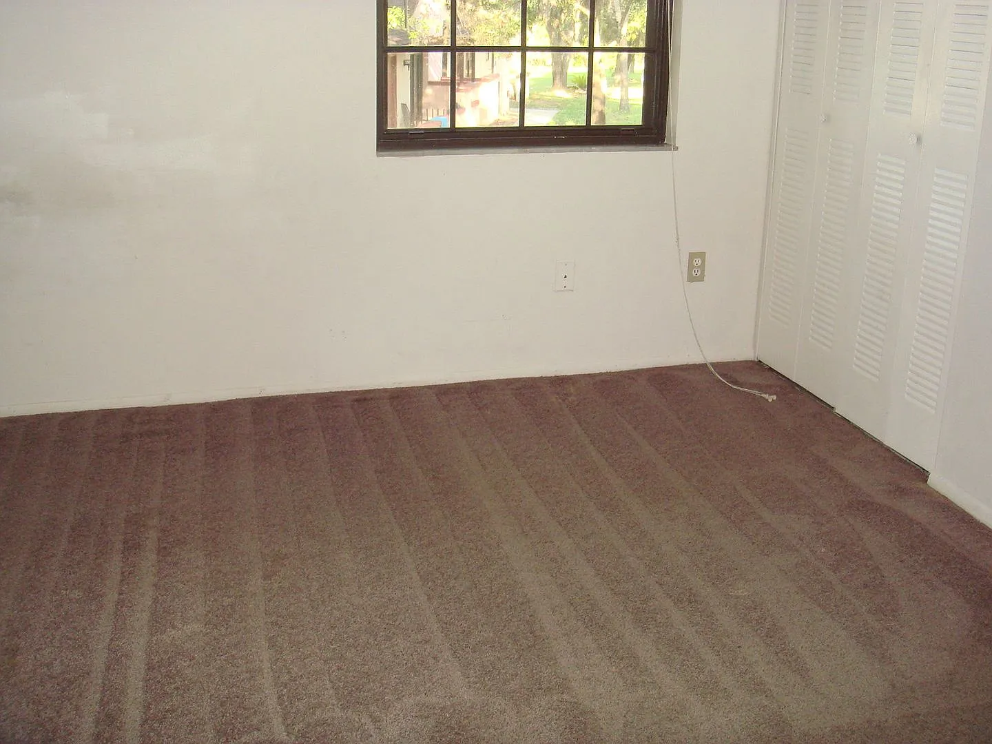 For Rent 2 Bed / 2 Bath Condo In The Shores Available Now! — Photo 4