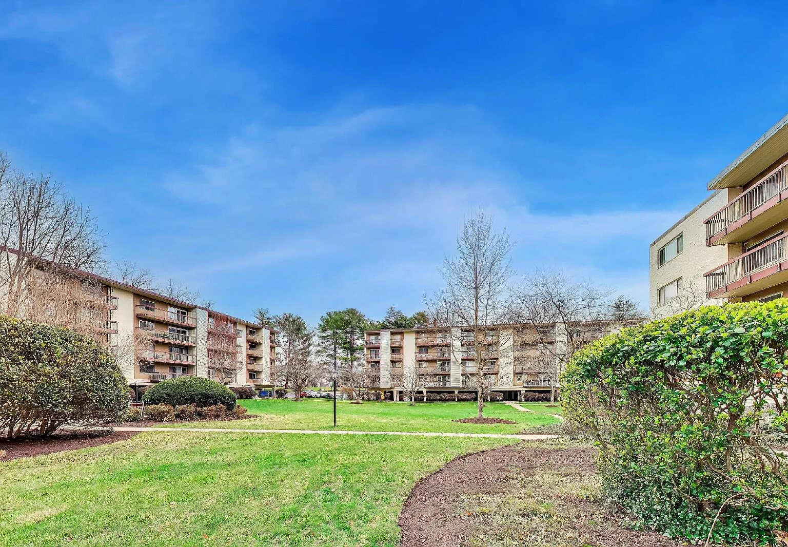1 bed, 1.0 bath, 787 sqft, $2,000 — Photo 4
