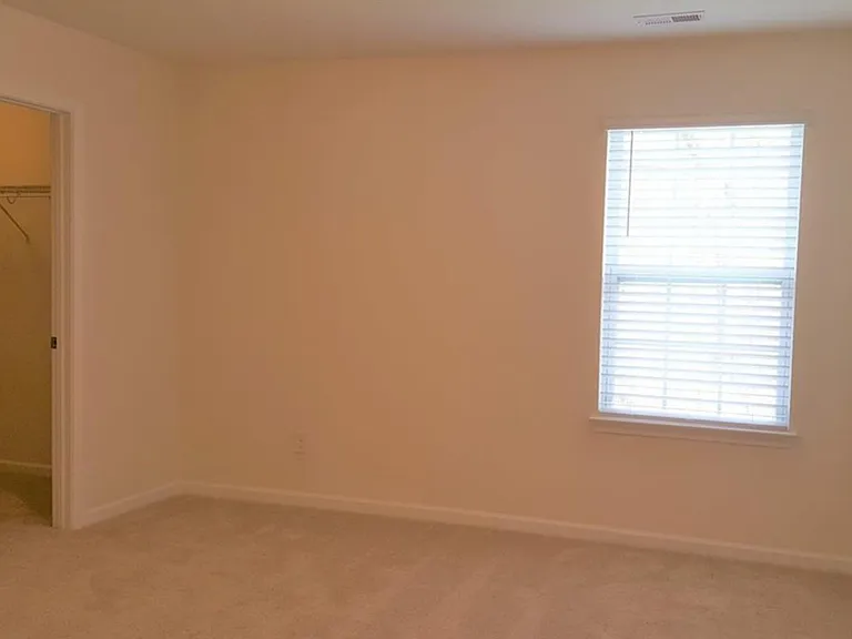 616 Rose Mallow Dr — Photo 10