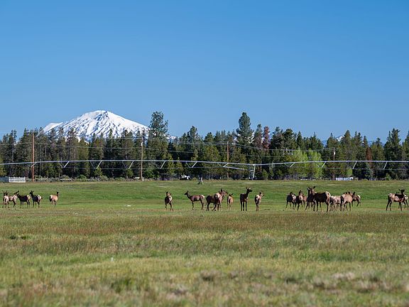 68th image of this home