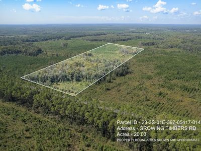 14 Growing Timbers Rd, Crawfordville, FL, 32327