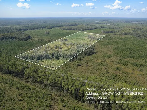 14 Growing Timbers Rd, Crawfordville, FL 32327