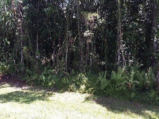 5th image of 15-2804 Moano St Lot 1227