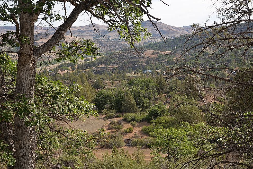 Dove St, Hornbrook, CA 96044 Zillow