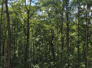 Blue Sky Overlook LOT 7, Blue Ridge, GA 30513