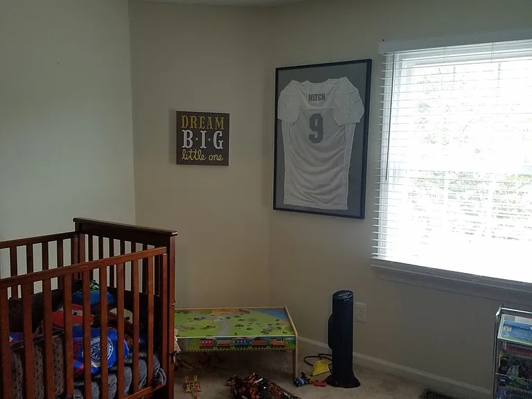 1001 Shoal Creek Trl — Photo 14