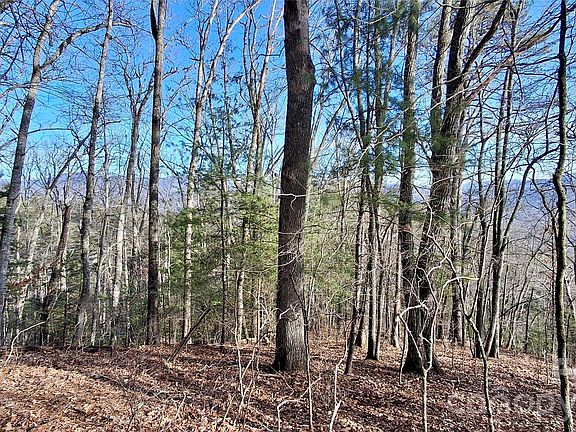 5th image of 0 Briarwood Rd