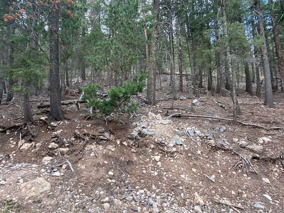 2nd image of 5 Forest View Rd