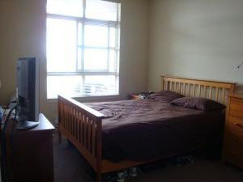 2nd image of 111 108th Ave NE #414