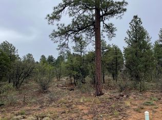 650 S Pine Haven Dr, Show Low, AZ 85901