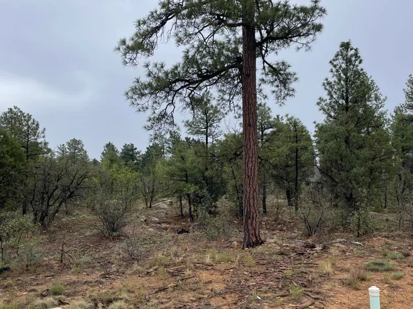 650 S Pine Haven Dr, Show Low, AZ 85901