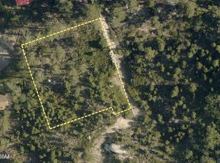 12831 N Ray Ave #2, Mount Lemmon, AZ 85619
