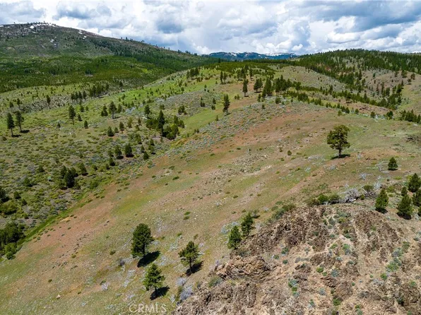 883 Pine Cone Rdg, Sierraville, CA 96126