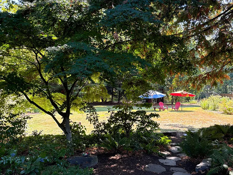 looking south further out into backyard beyond patio