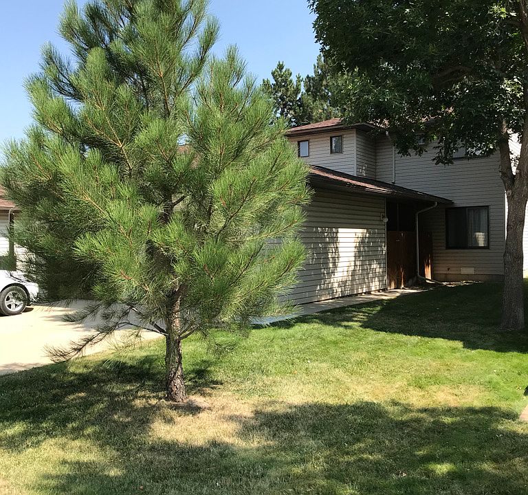Street view, mature landscaping