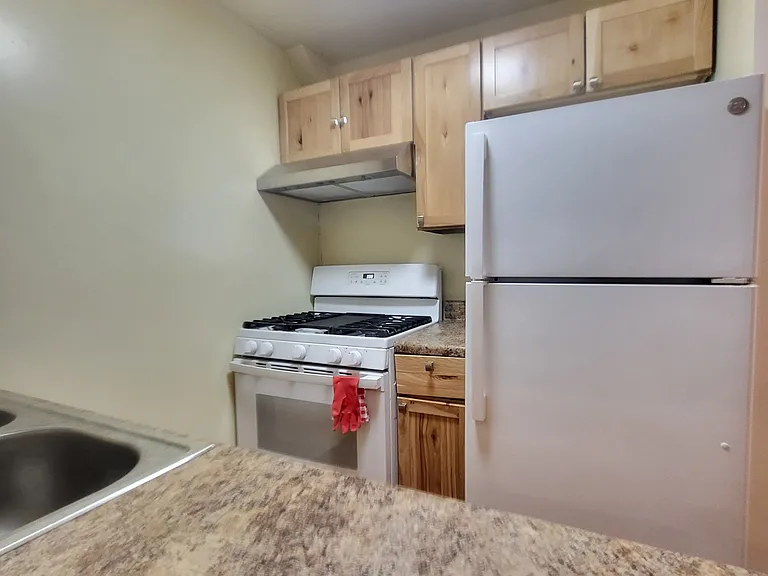 256 W 136th St #GARDEN- — Photo 6