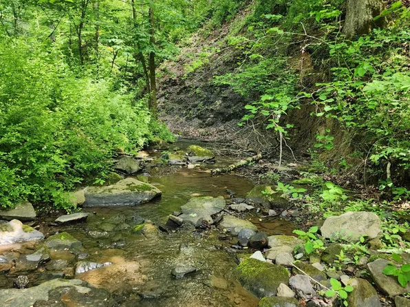 Mount Zion Church Rd, East Bernstadt, KY 40729