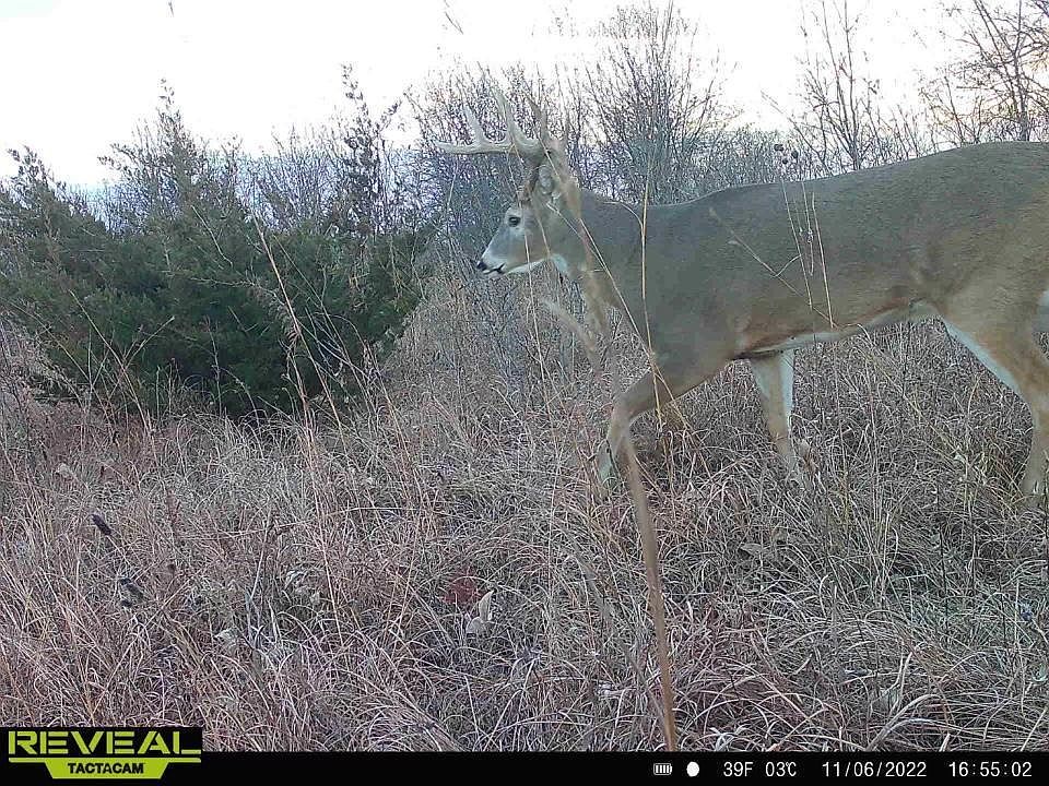 1st image of 230th St