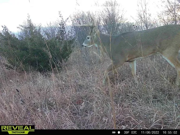 230th St, Minnesota Lake, MN 56068