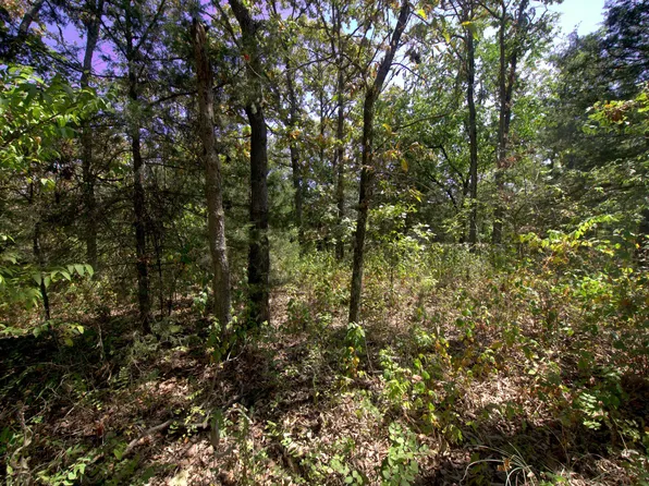 Tract 2-4 Simpson Rd, Urbana, MO 65767