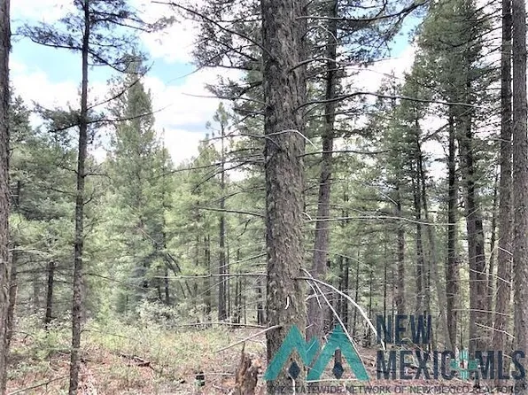 3 Sawyer Mesa, Pecos, NM 87552