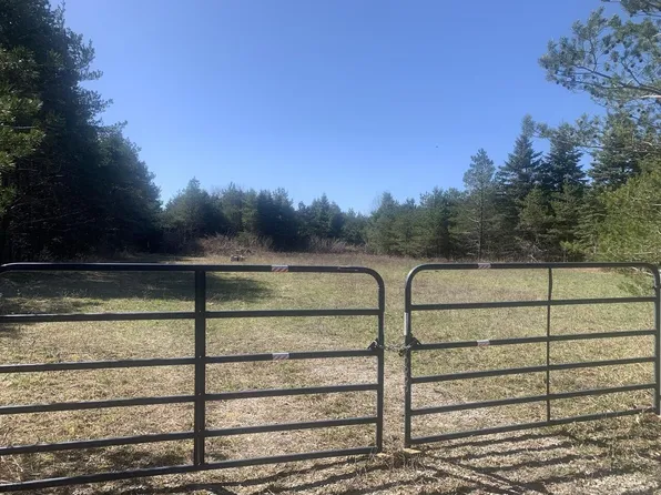 N Sherman Rd, Frederic, MI 49733