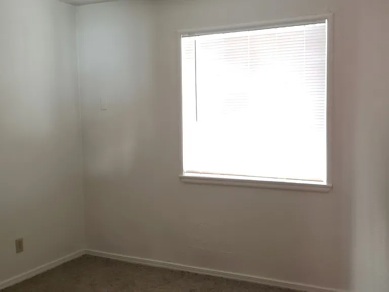 3541 Blue Gum St — Photo 7