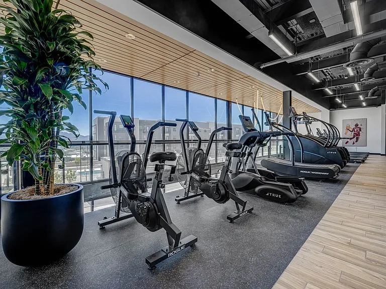 Terra Vista Lehi — Photo 25