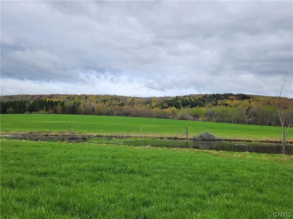 2248 County Road 16, Plymouth, NY 13832